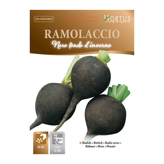 Hortus Black Radish (Ramolaccio Nero)