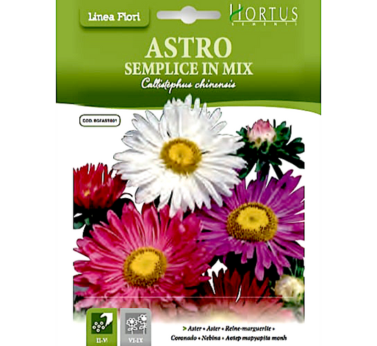 HORTUS ASTER DAISY 1 GRAM