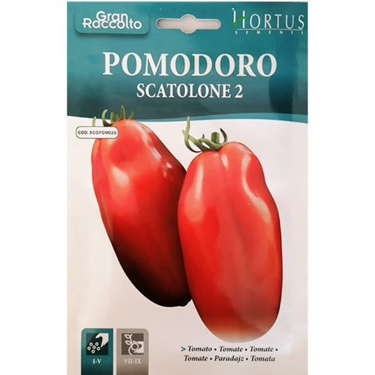 Hortus Pomodoro Scatolone 2 Tomatoes