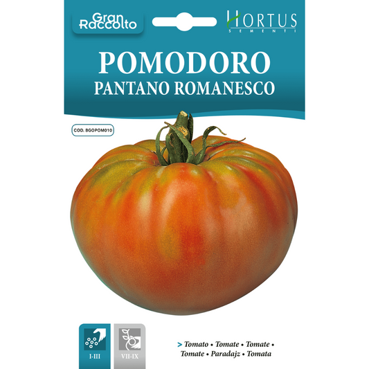 Hortus Pomodoro Pantano Romanesco Tomatoes