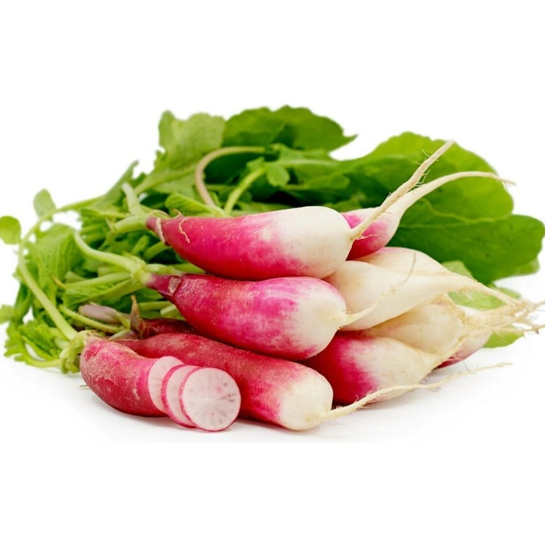 Flambyont Radish 30+ Seeds