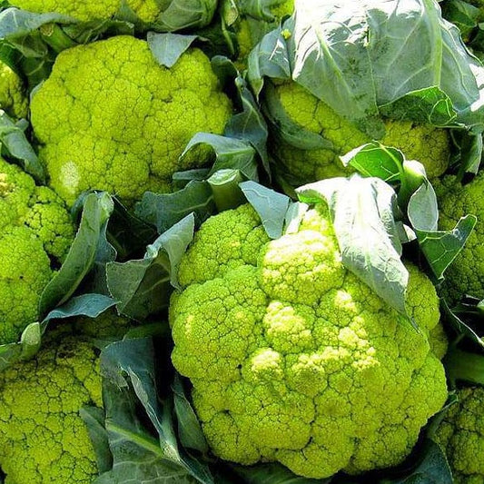 Green Cauliflower 20 Seeds