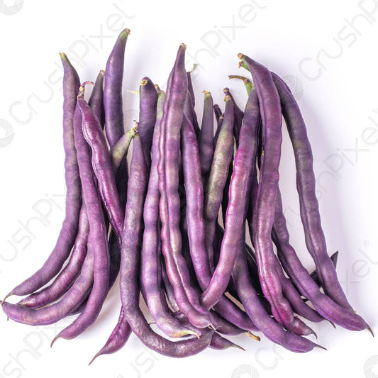 Purple Pole Bean 10 Seeds