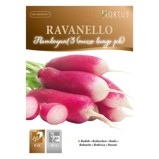 Hortus Red & White Radish (Ravanlello Flamboyant 3)