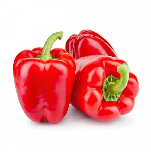 Hortus Peperone Capsicum Red Peppers 1gm