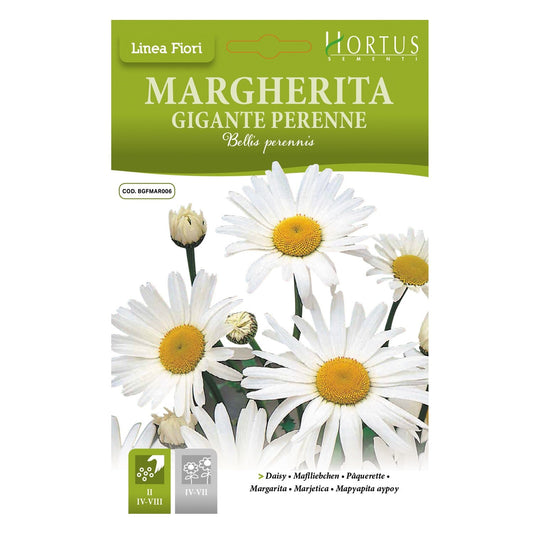 HORTUS GIANT DAISY 0.20 GRAMS